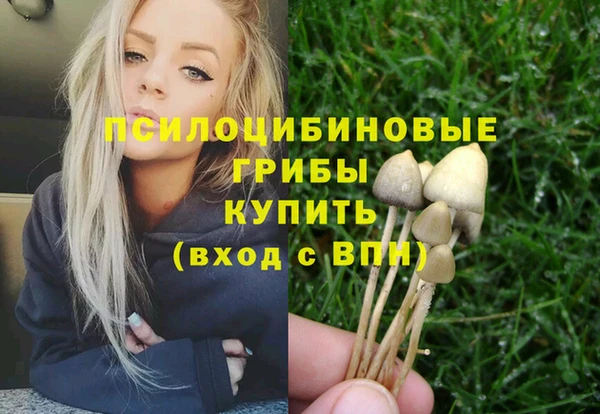 МДПВ Покров