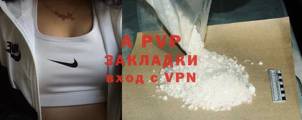 индика Нижневартовск