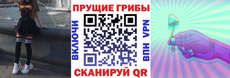 Псилоцибиновые грибы Cubensis  наркотики  Сусуман 